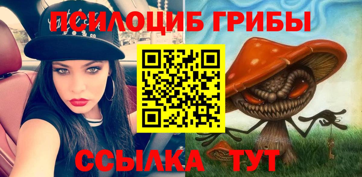 Псилоцибиновые грибы прущие грибы Мончегорск