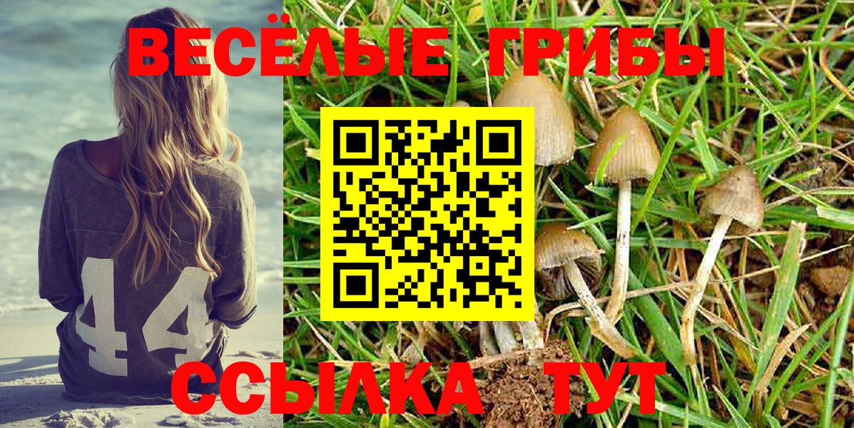 Мончегорск  Галлюциногенные грибы MAGIC MUSHROOMS  что такое наркотик  Вход с VPN 